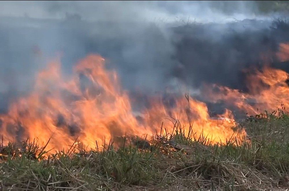 Maranhão teve cerca de 4 mil focos de queimadas a menos em 2020, diz governo