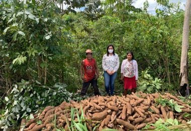 Gestão do prefeito Arnóbio investe na agricultura familiar em Jenipapo dos Vieiras