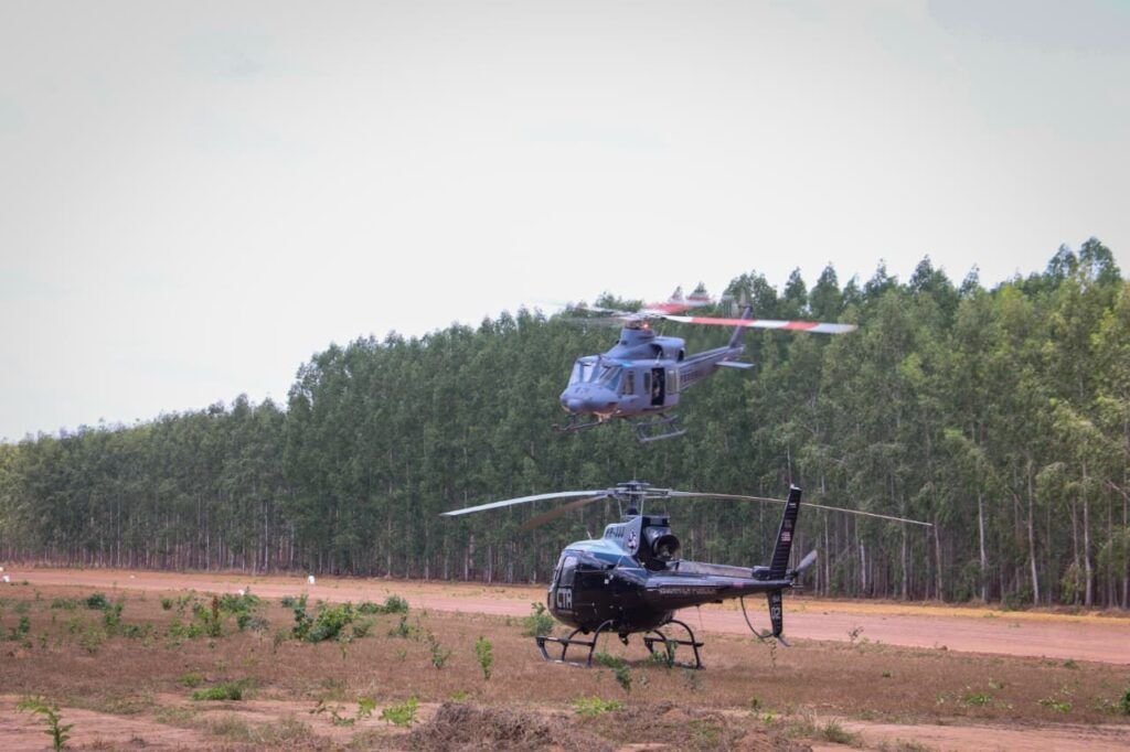 policia-federal-destroi-29-mil