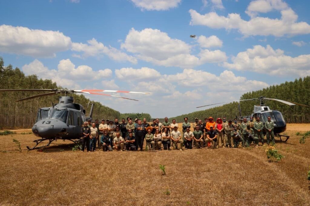 policia-federal-destroi-29-mil