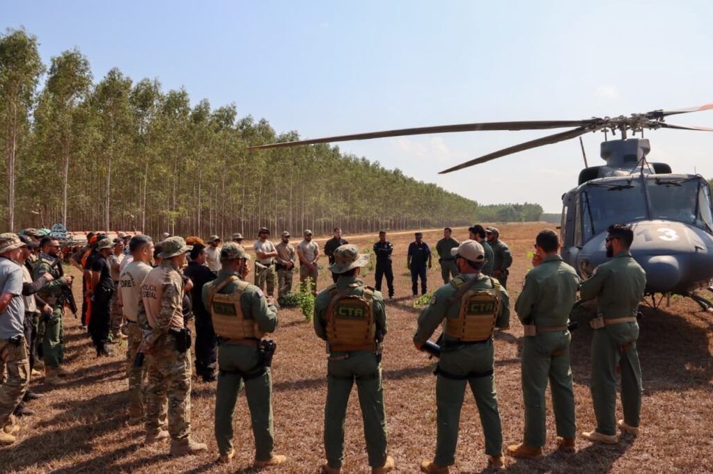 policia-federal-destroi-29-mil