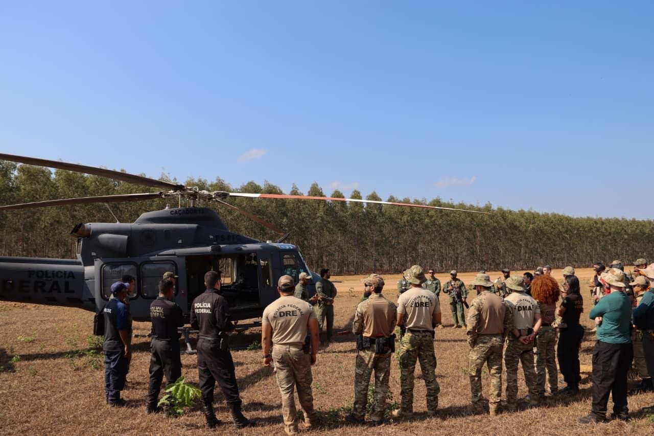 policia-federal-destroi-29-mil