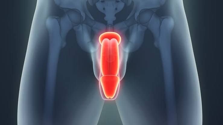 mais-de-110-homens-morreram-co