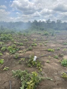 urgente-policia-federal-encont